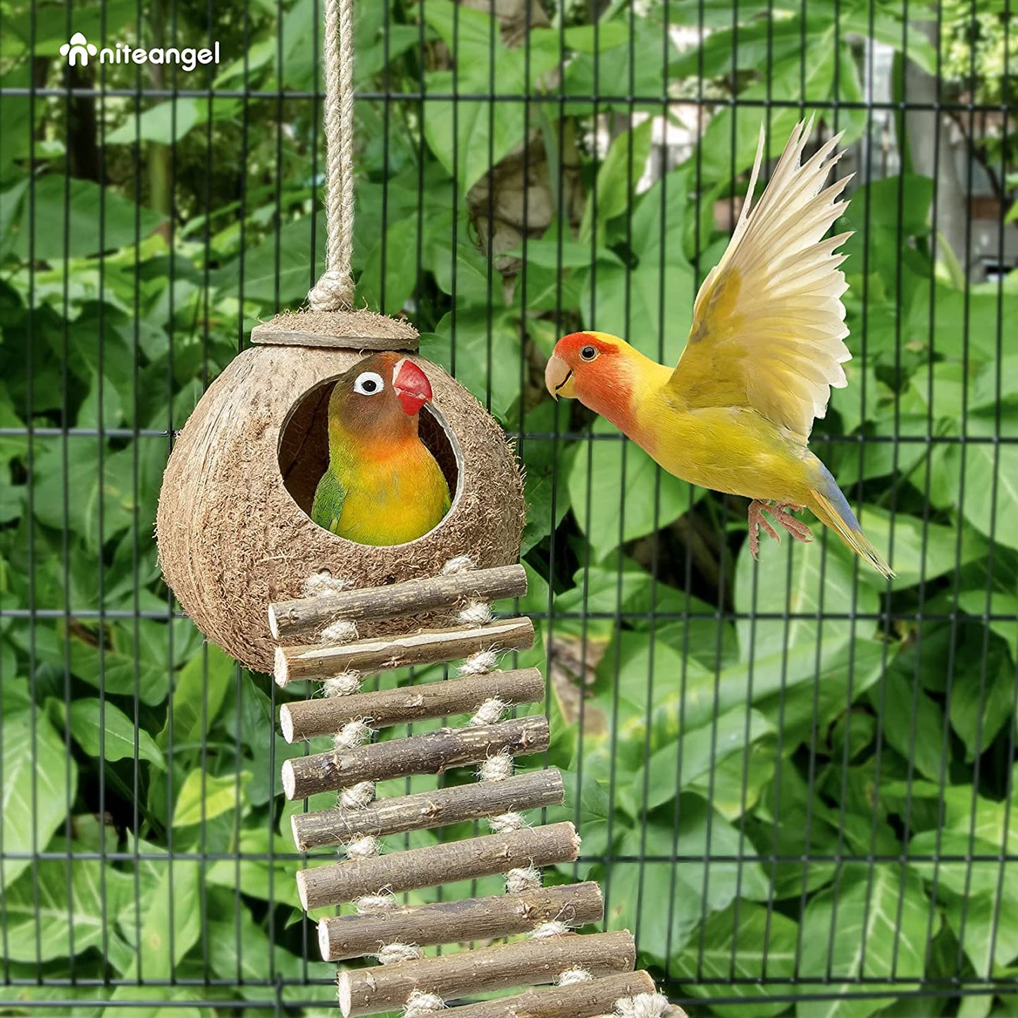 Natural Coconut Hideaway with Ladder for Birds and Small Animals - Enriched Natural Surface Toy