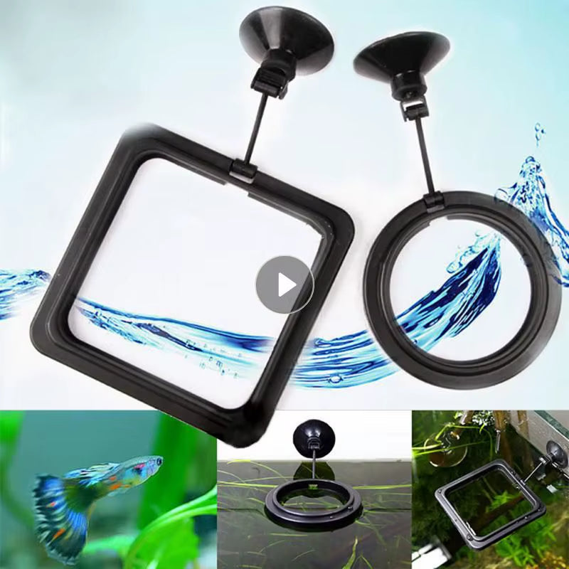 Aquarium Feeding Ring Fish Tank Station Floating Food Tray Feeder Square Circle Accessory Portable Fish Food Feeder Suction Cup