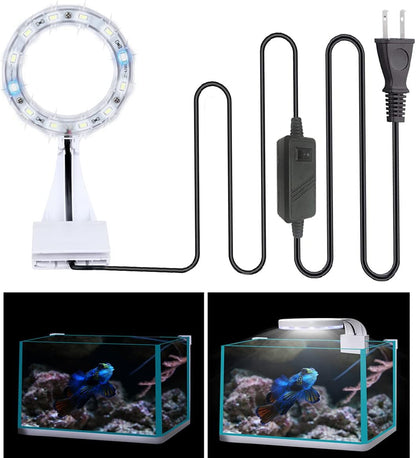 5W Mini Fish Tank Light White Clip-On Aquarium Lights for Small Betta Fish Tank,Round Light Aquatic Plant Lighting (White Body + Blue LED Light) Suitable for Small Fish Tanks