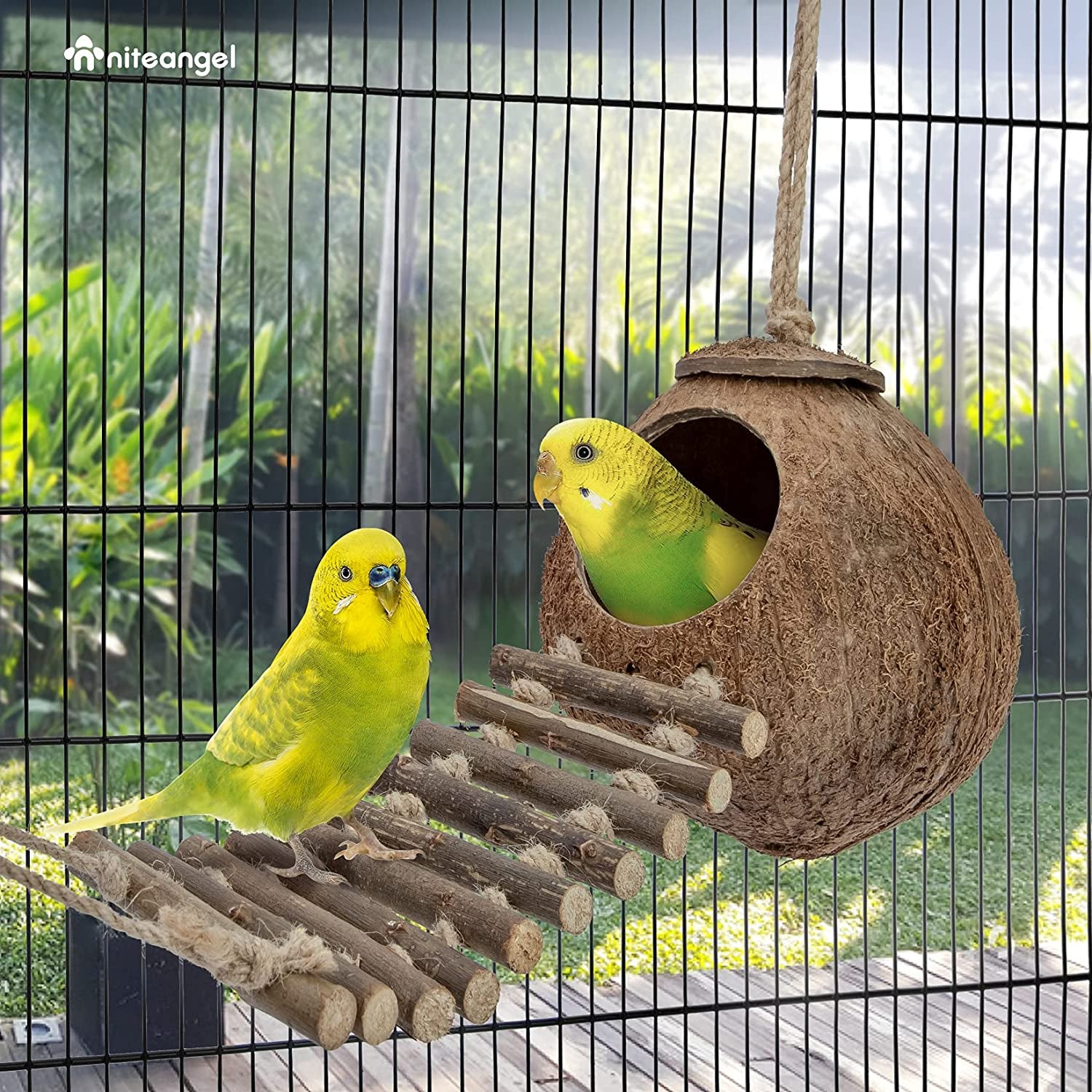 Natural Coconut Hideaway with Ladder for Birds and Small Animals - Enriched Natural Surface Toy