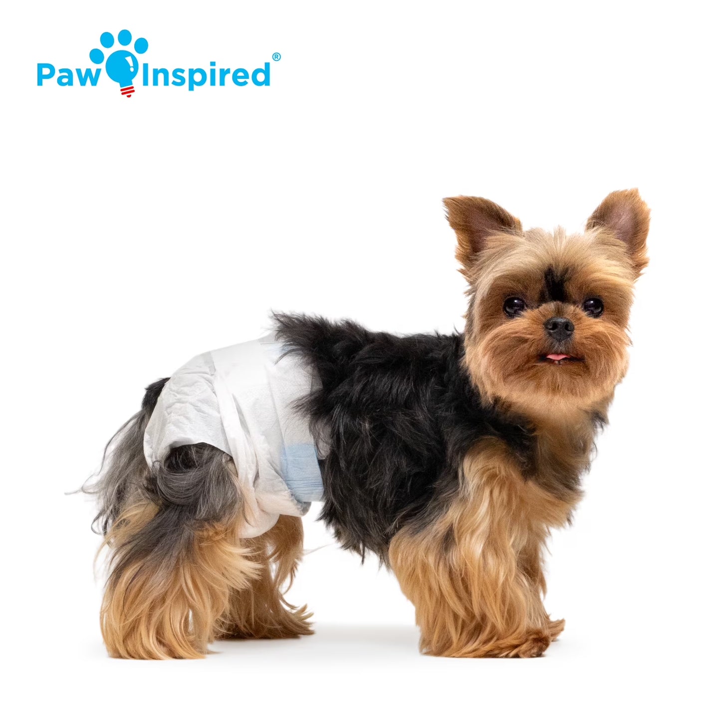 32Ct Disposable Dog Diapers Female X-Small | Puppy, Doggie, Cat Diapers |Diapers for Dogs in Heat Period, Diapers That Stay on Bulk, Senior, Excitable Urination, or Incontinence