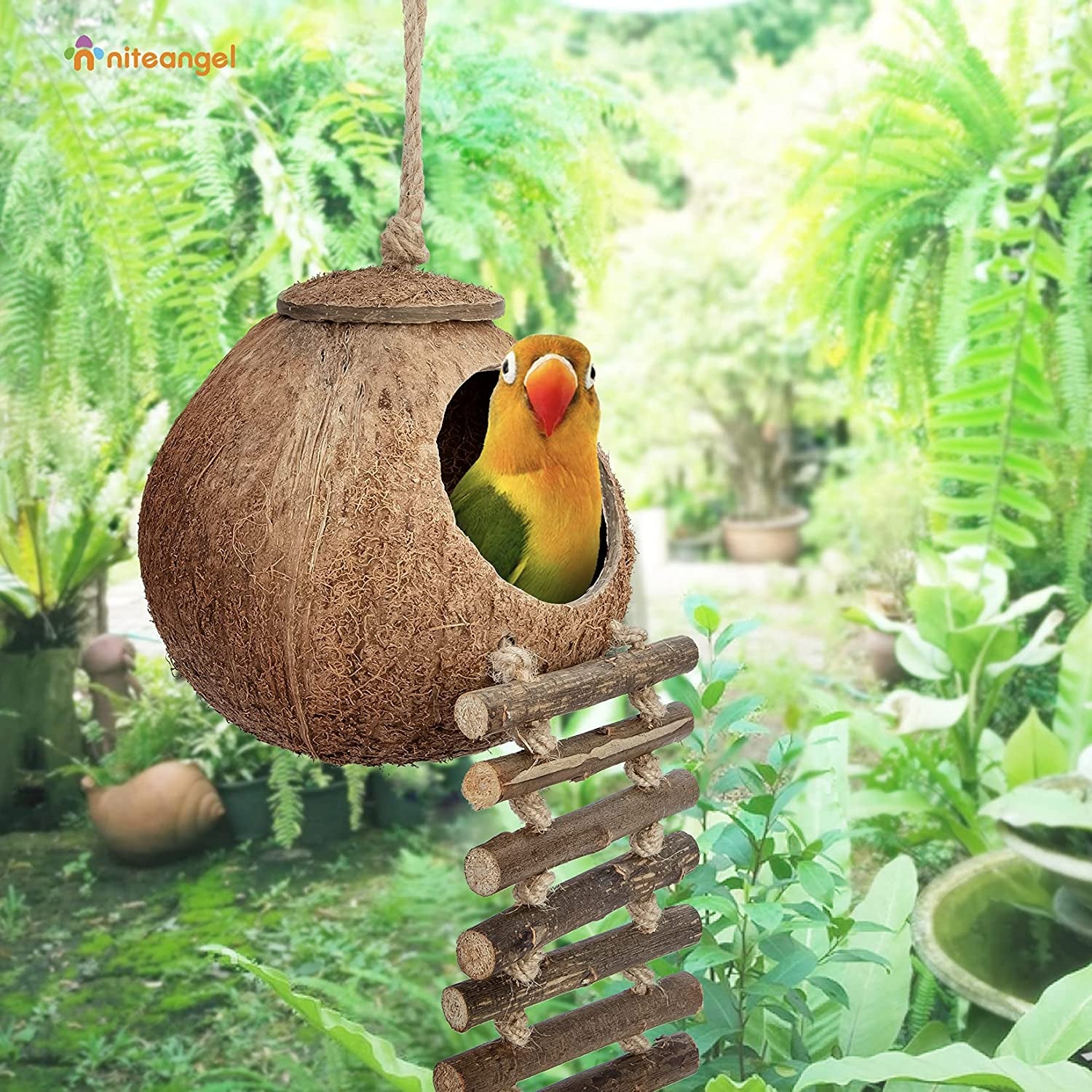 Natural Coconut Hideaway with Ladder for Birds and Small Animals - Enriched Natural Surface Toy