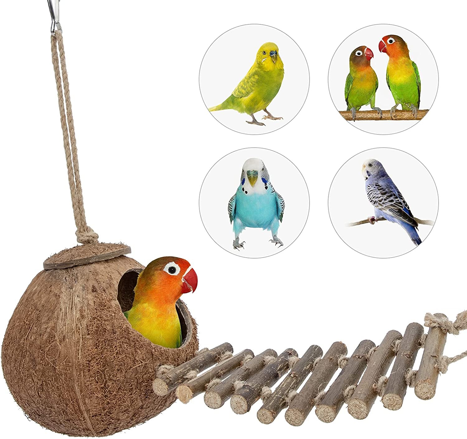 Natural Coconut Hideaway with Ladder for Birds and Small Animals - Enriched Natural Surface Toy